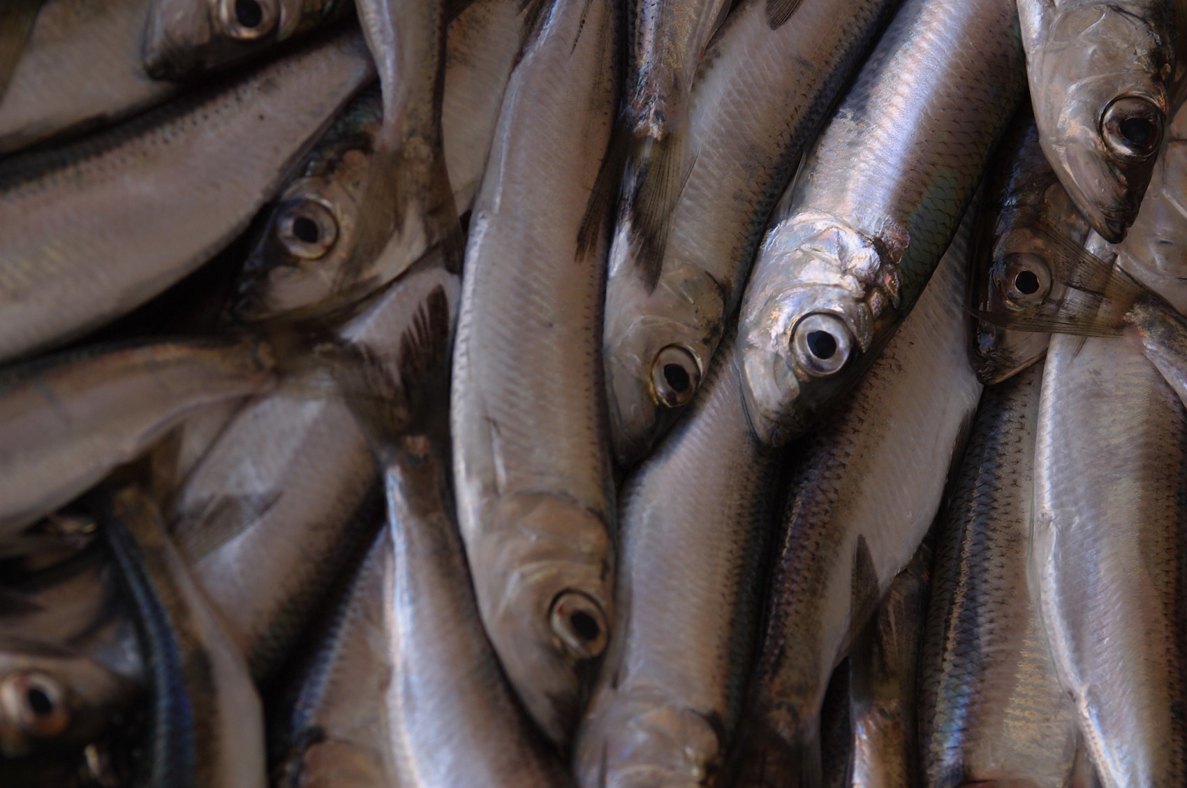 Vitamin D And Psoriasis